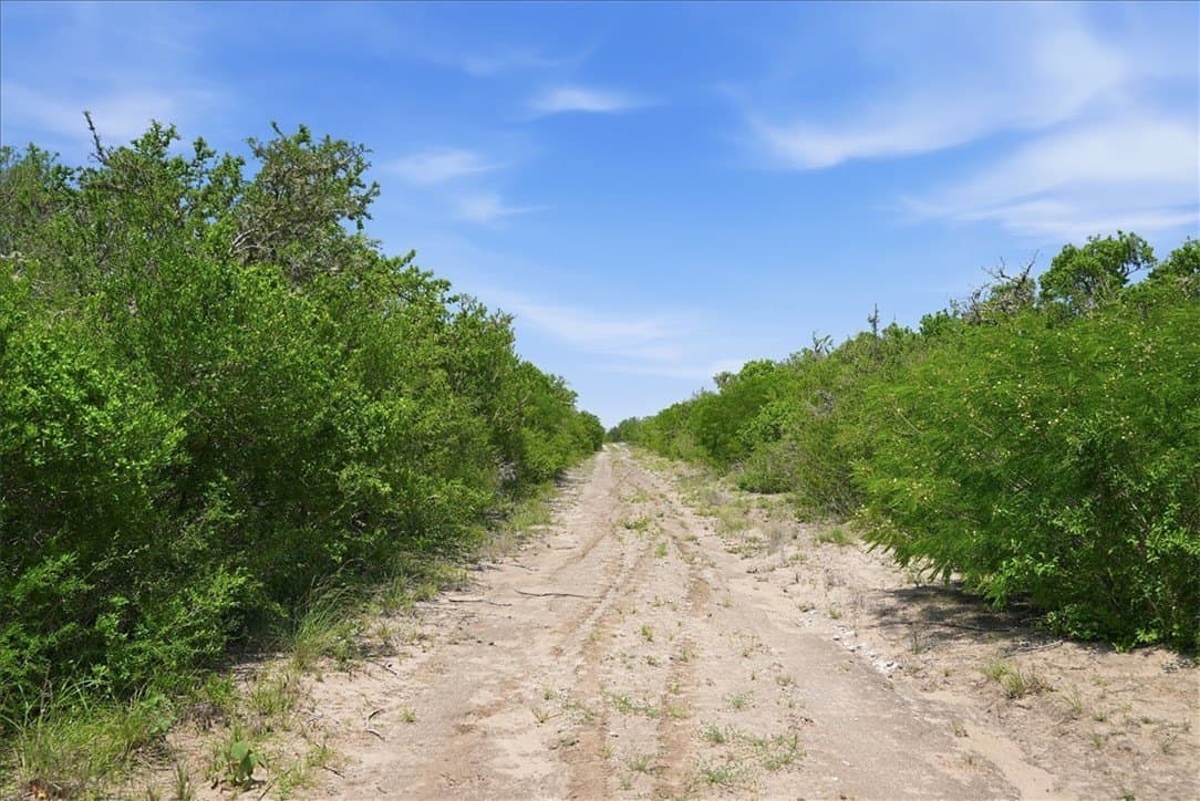 45.79 acres in Live Oak County - photo 34
