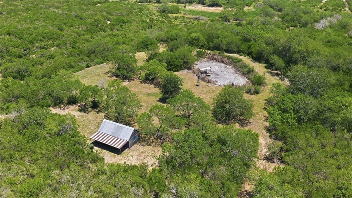 45.79 acres in Live Oak County - photo 37