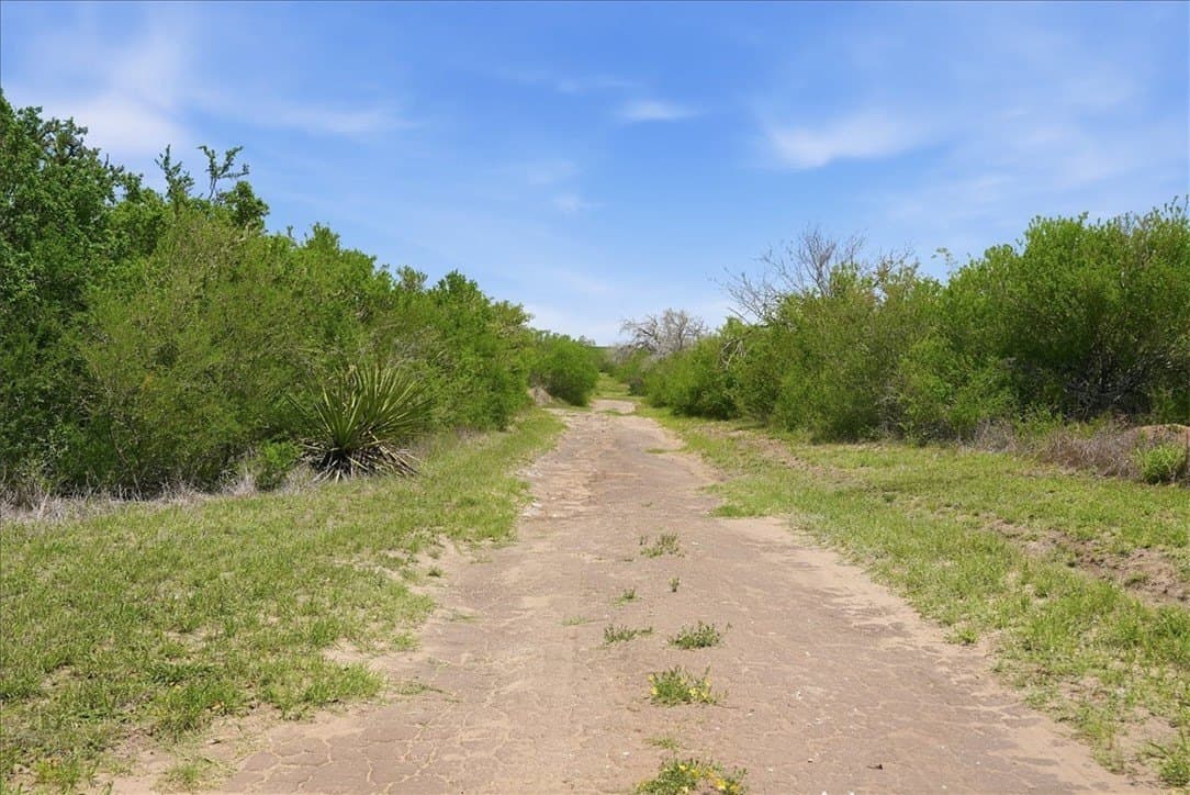 45.79 acres in Live Oak County - photo 35