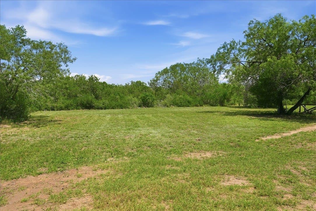 45.79 acres in Live Oak County - photo 32