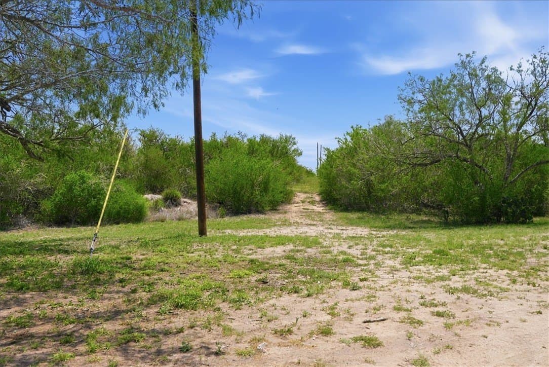 45.79 acres in Live Oak County - photo 36