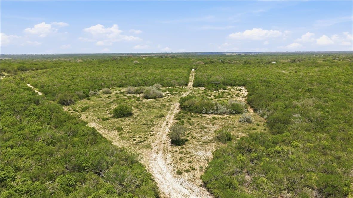 45.79 acres in Live Oak County - photo 39