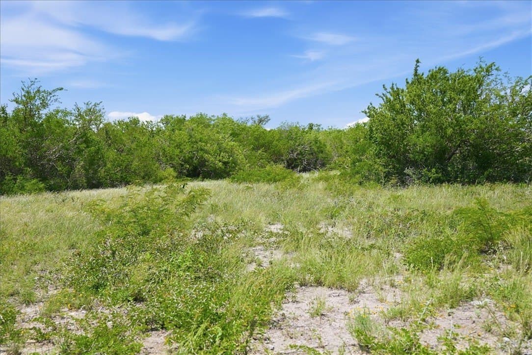 45.79 acres in Live Oak County - photo 29