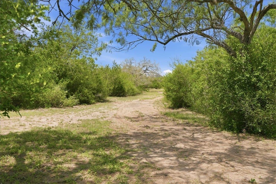 45.79 acres in Live Oak County - photo 33