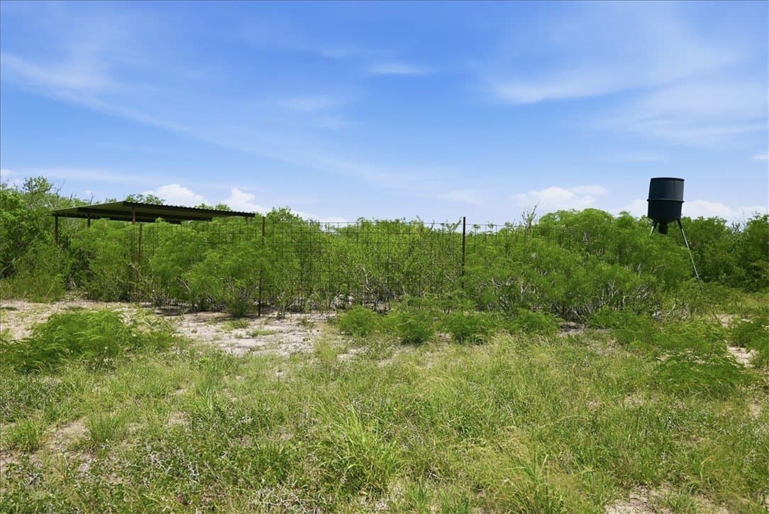 45.79 acres in Live Oak County - photo 38