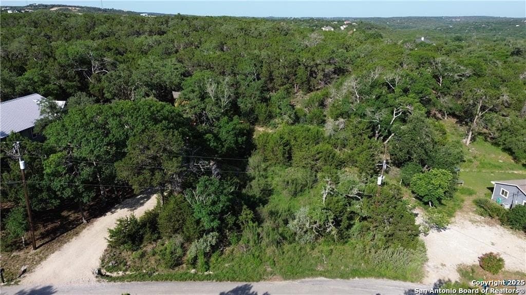 0.31 acres in Comal County gallery image 2
