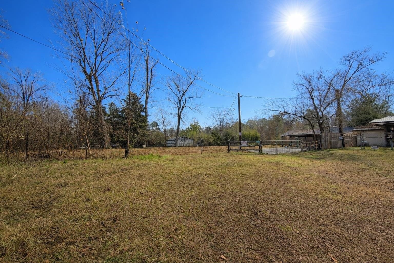 0.5 acres in Tyler County gallery image 2