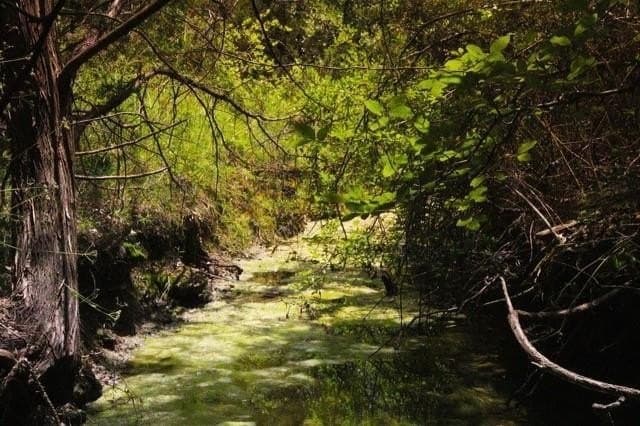 1 acres in Parker County featured view