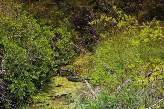 1 acres in Parker County