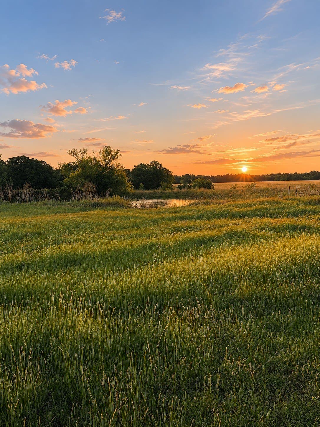 150.68 acres in Navarro County - photo 6