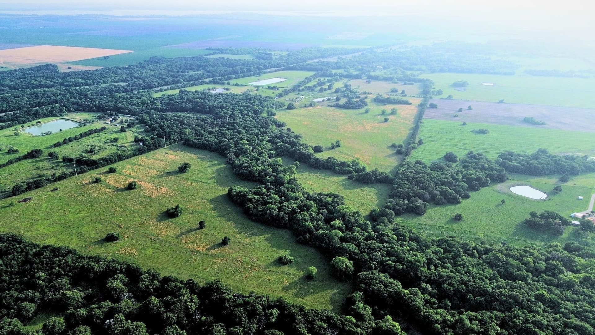 150.68 acres in Navarro County - photo 14