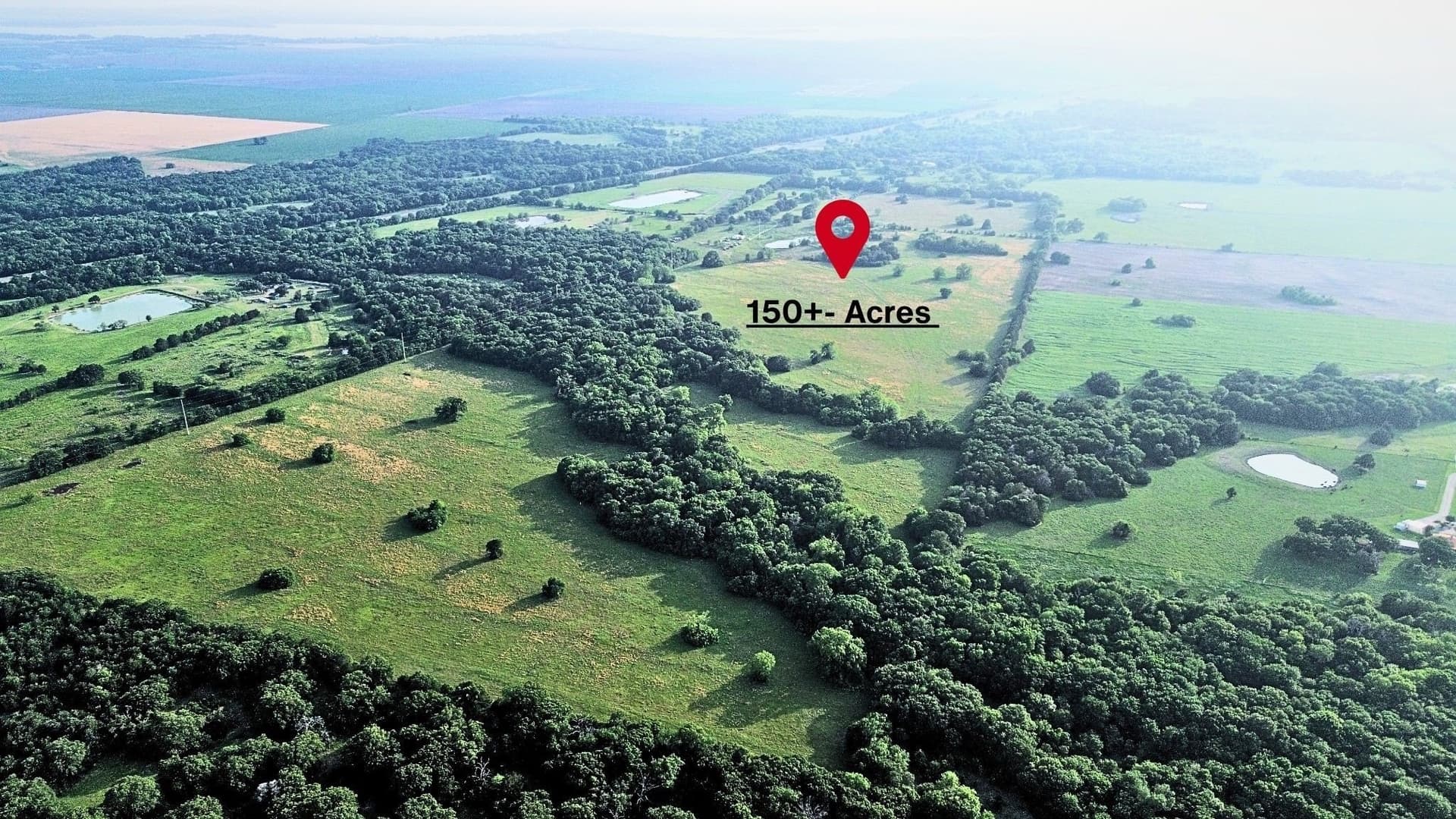 150.68 acres in Navarro County - photo 15