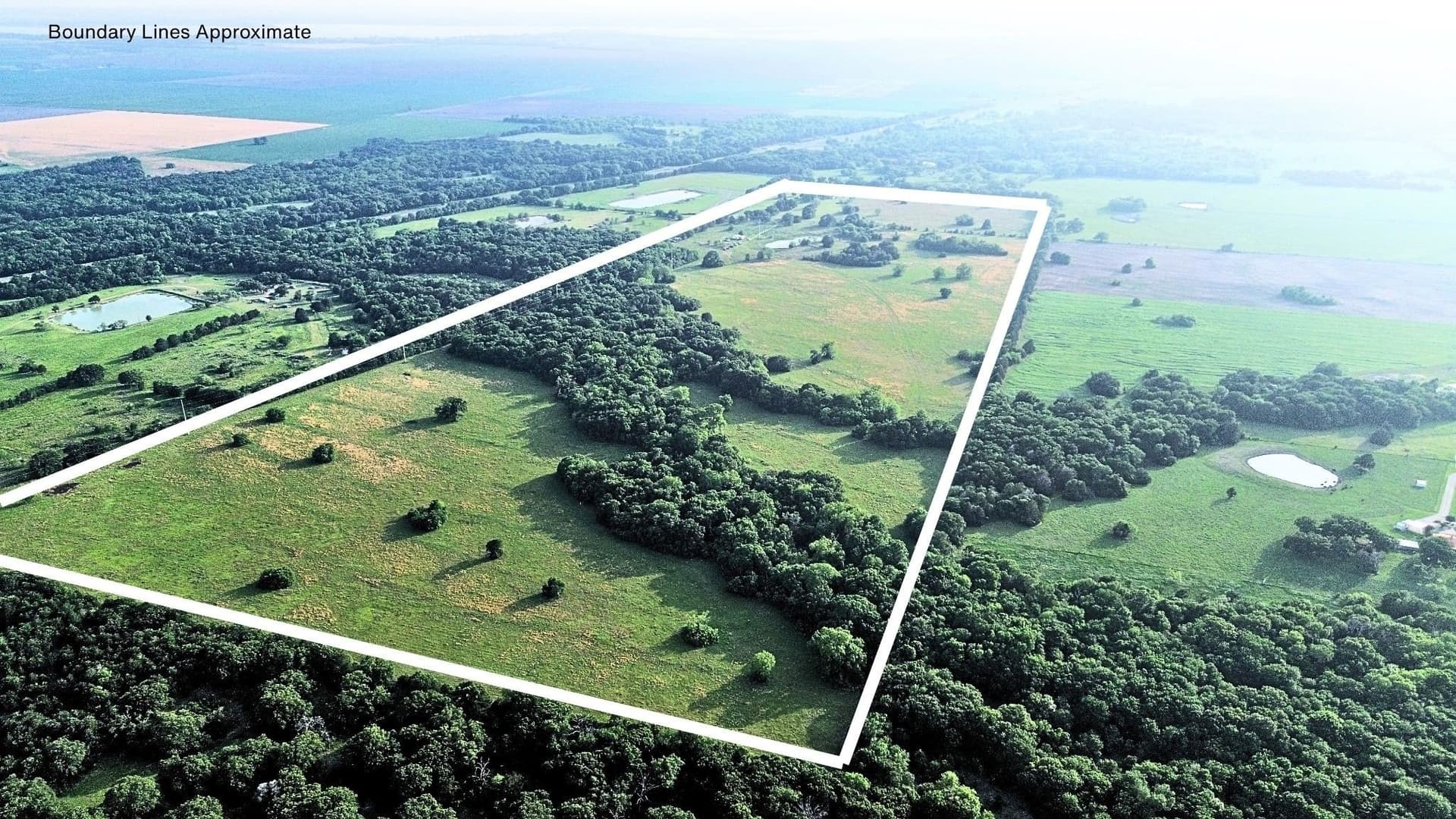 150.68 acres in Navarro County - photo 11