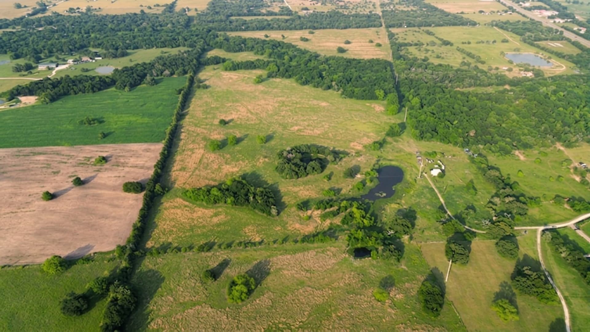 150.68 acres in Navarro County - photo 17