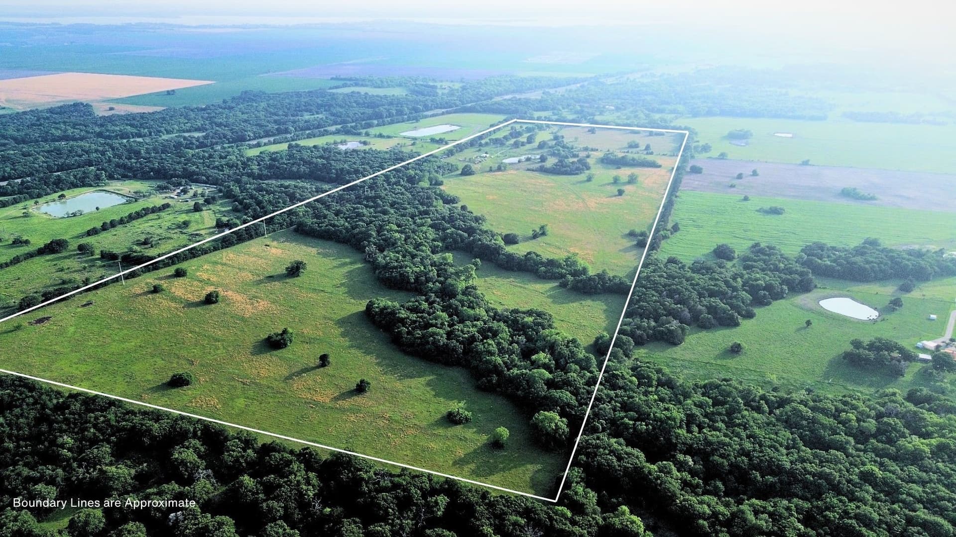 150.68 acres in Navarro County - photo 13