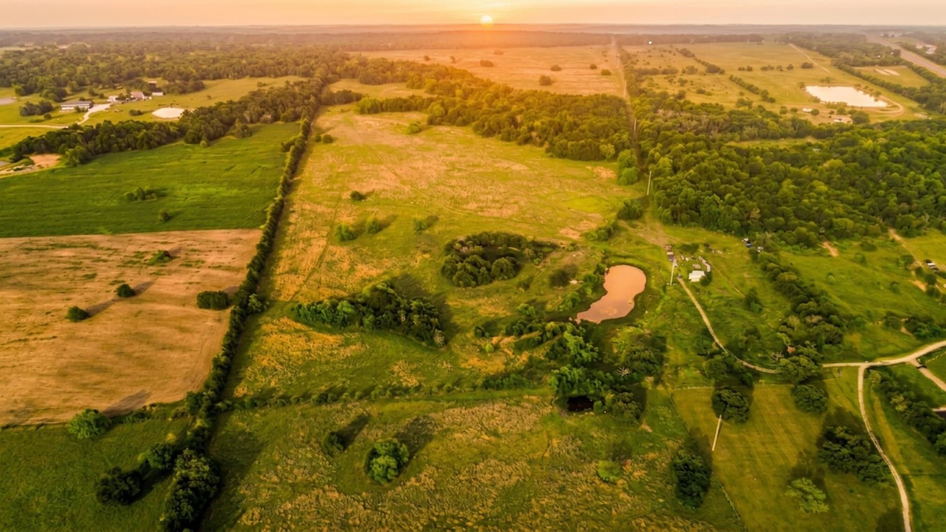 150.68 acres in Navarro County - photo 16