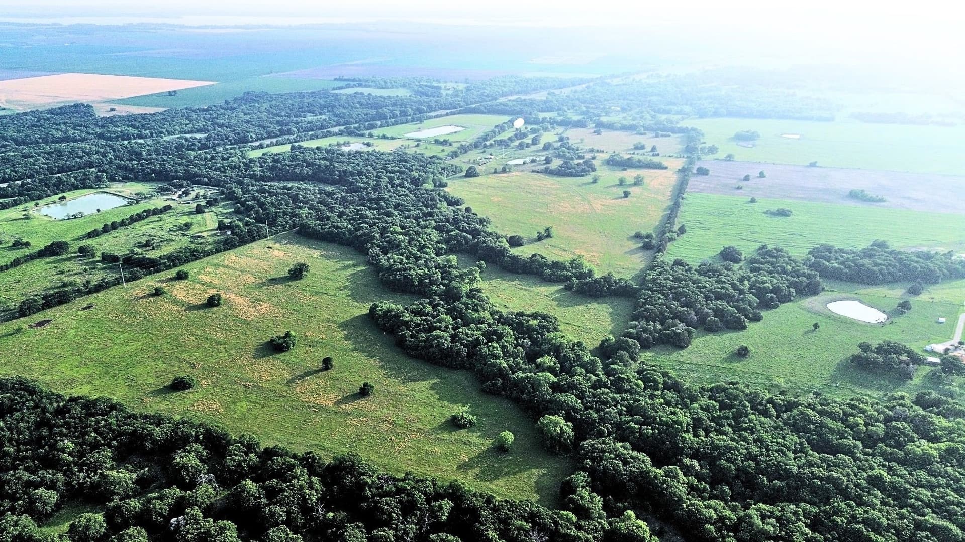 150.68 acres in Navarro County - photo 12