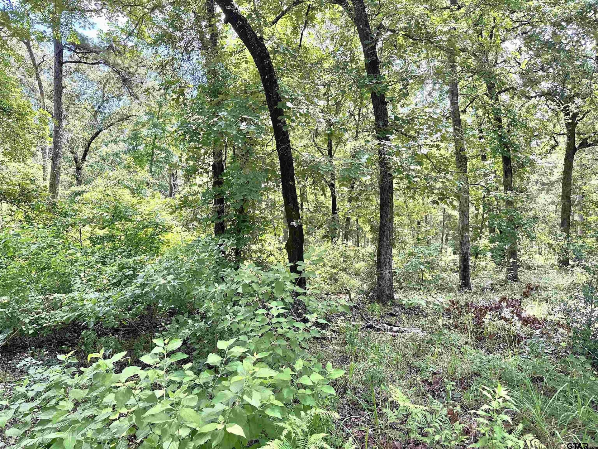 1 acres in Henderson County gallery image 3