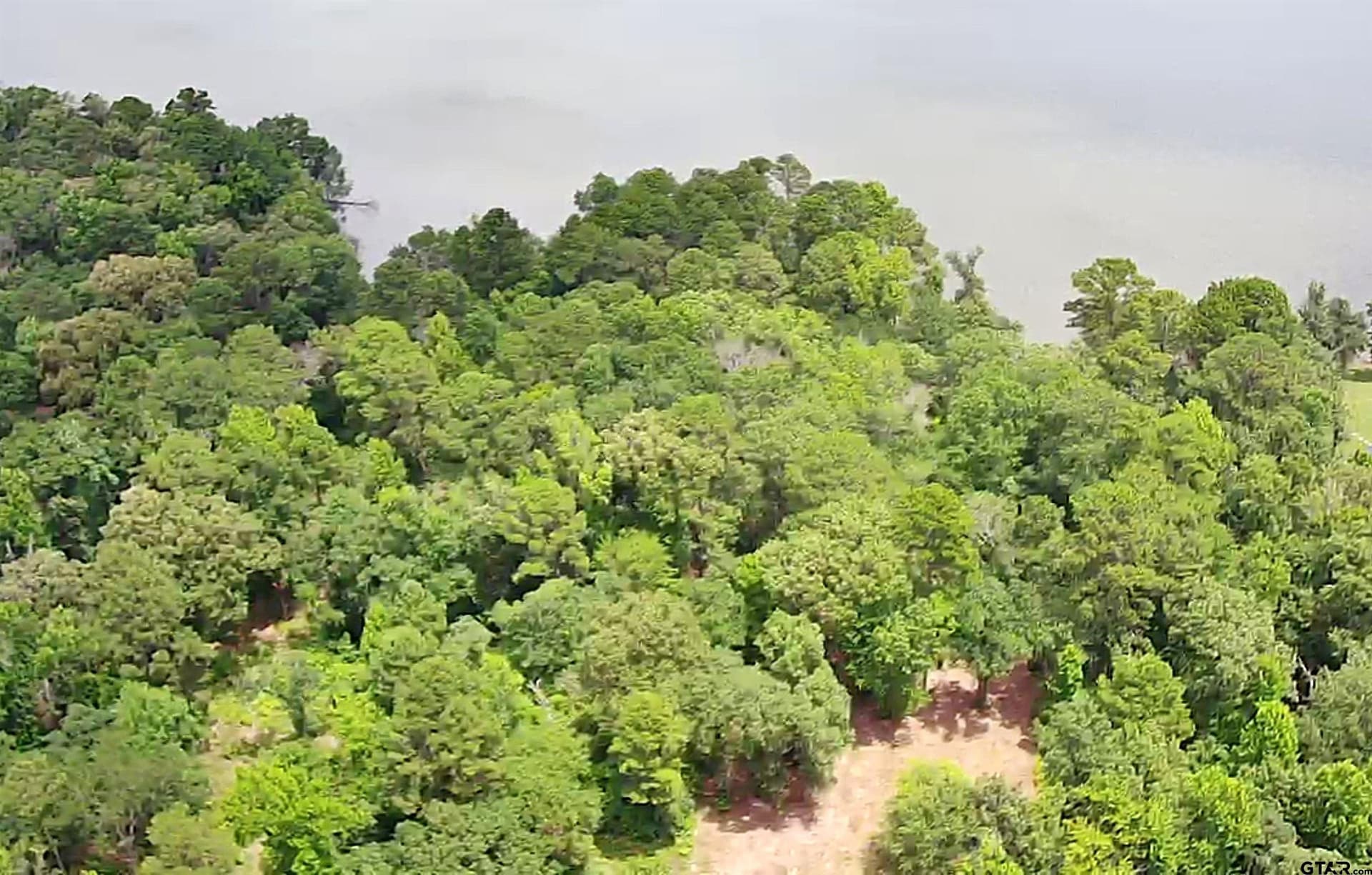 1 acres in Henderson County featured view