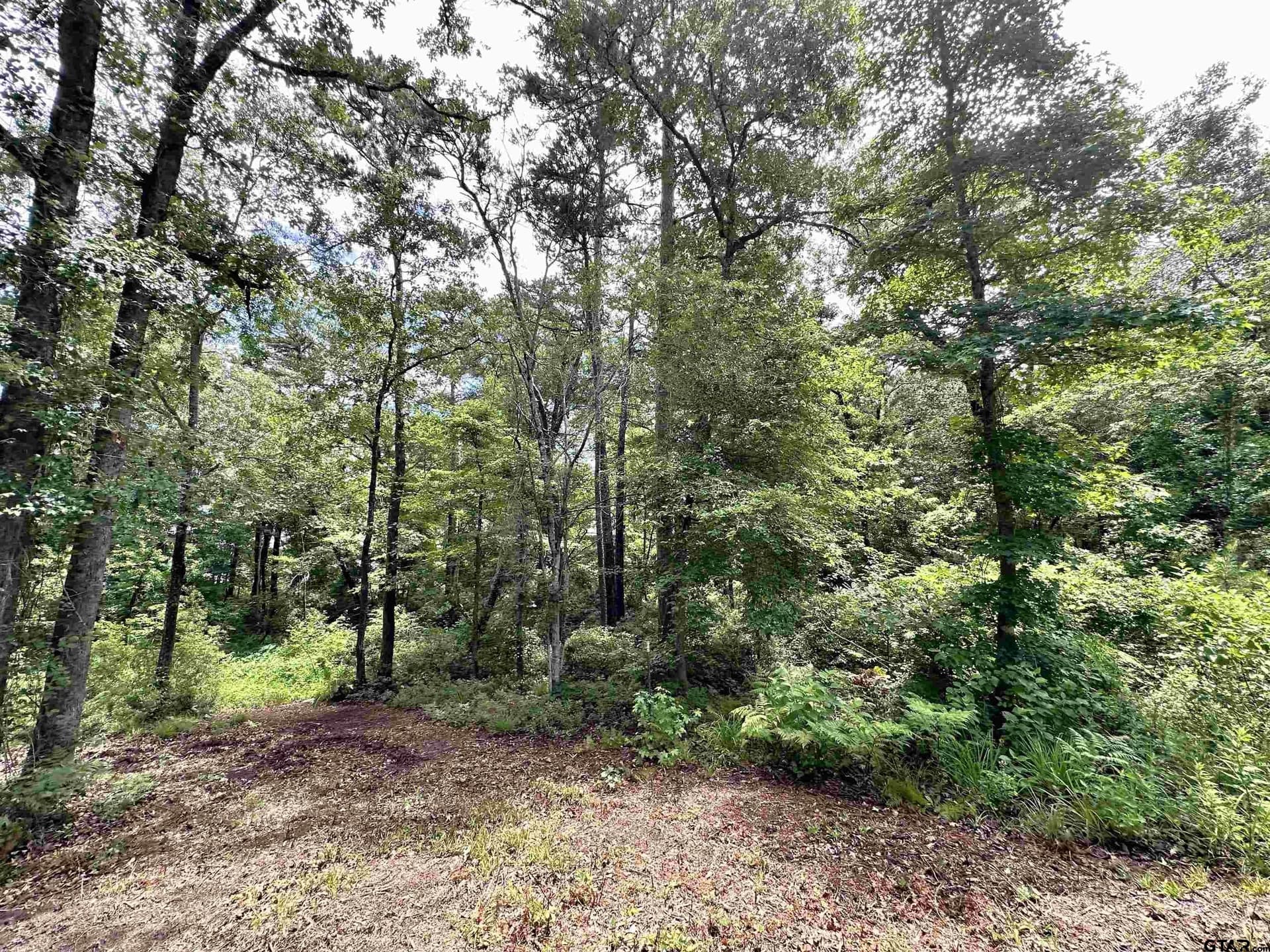 1 acres in Henderson County gallery image 4