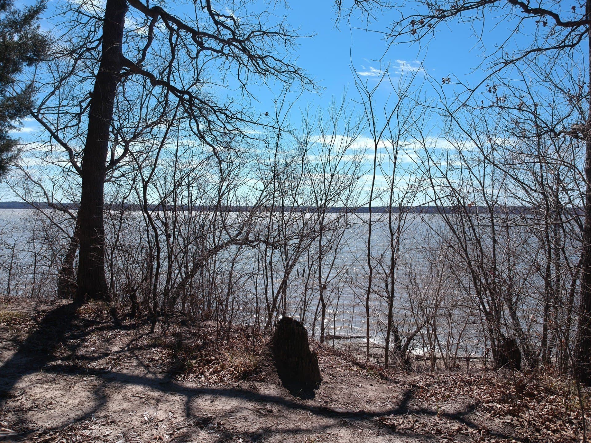 388 acres in Hunt County - photo 8