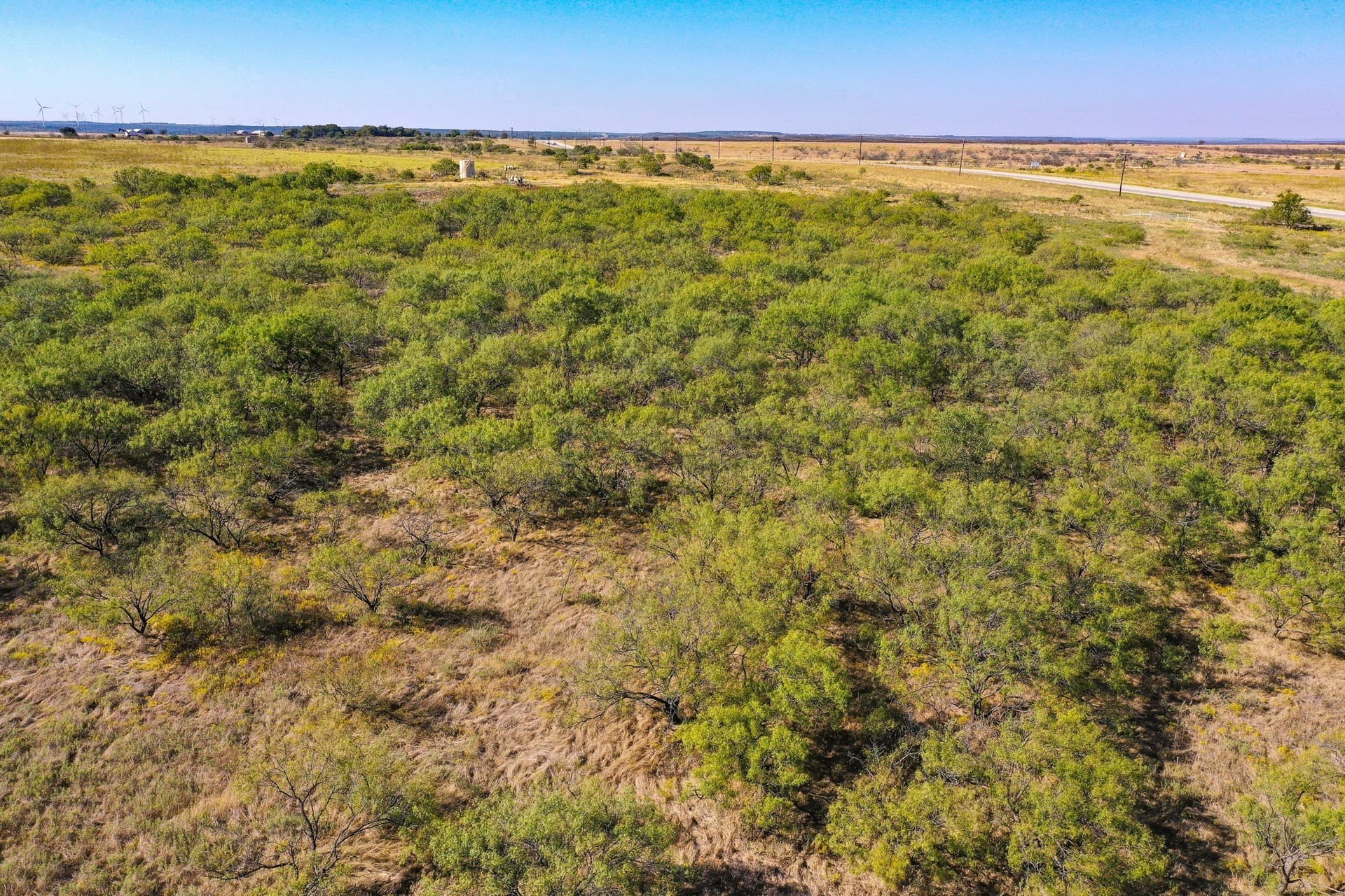 55.43 acres in Jack County - photo 3
