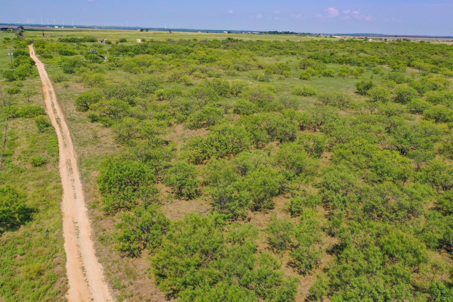 55.43 acres in Jack County - photo 13
