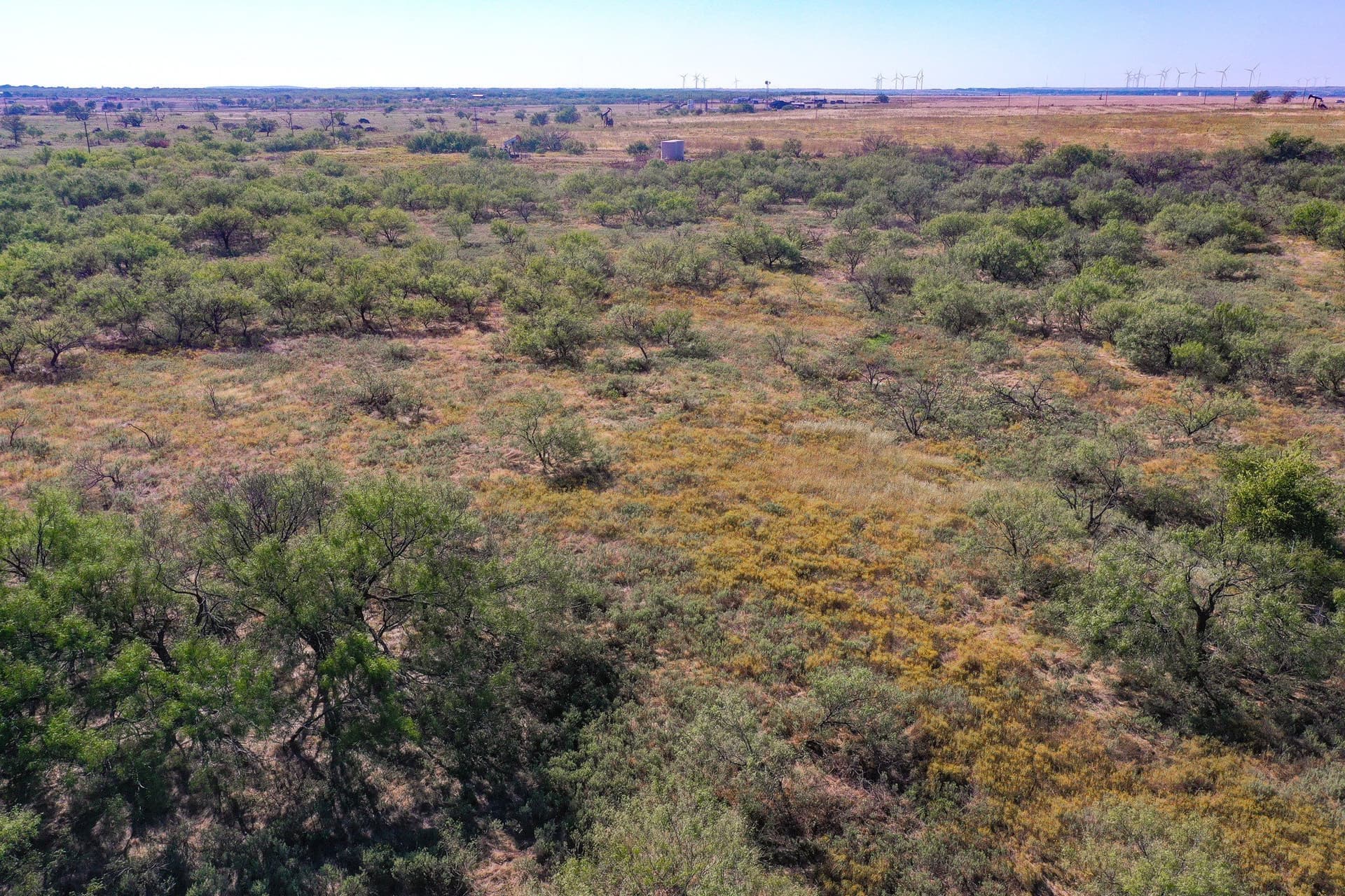 55.43 acres in Jack County - photo 5