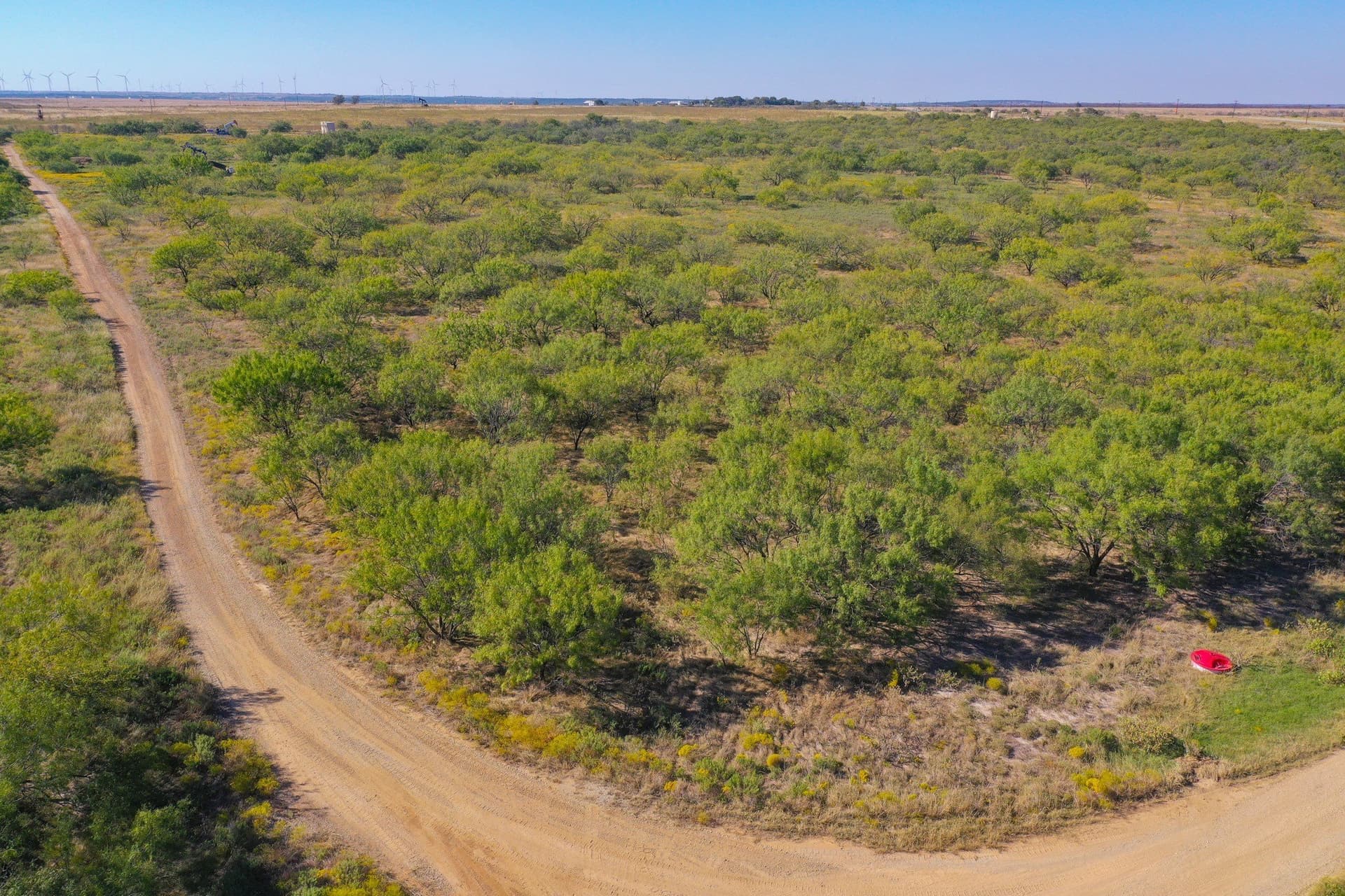 55.43 acres in Jack County - photo 7