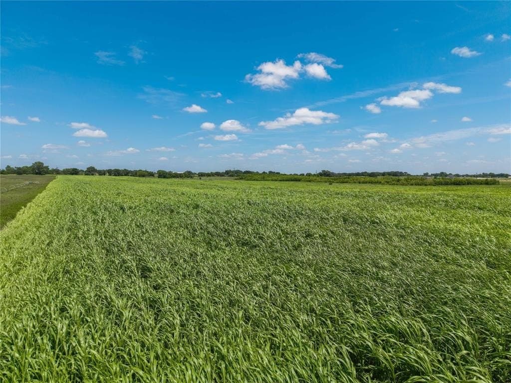 25.5 acres in Comanche County gallery image 4