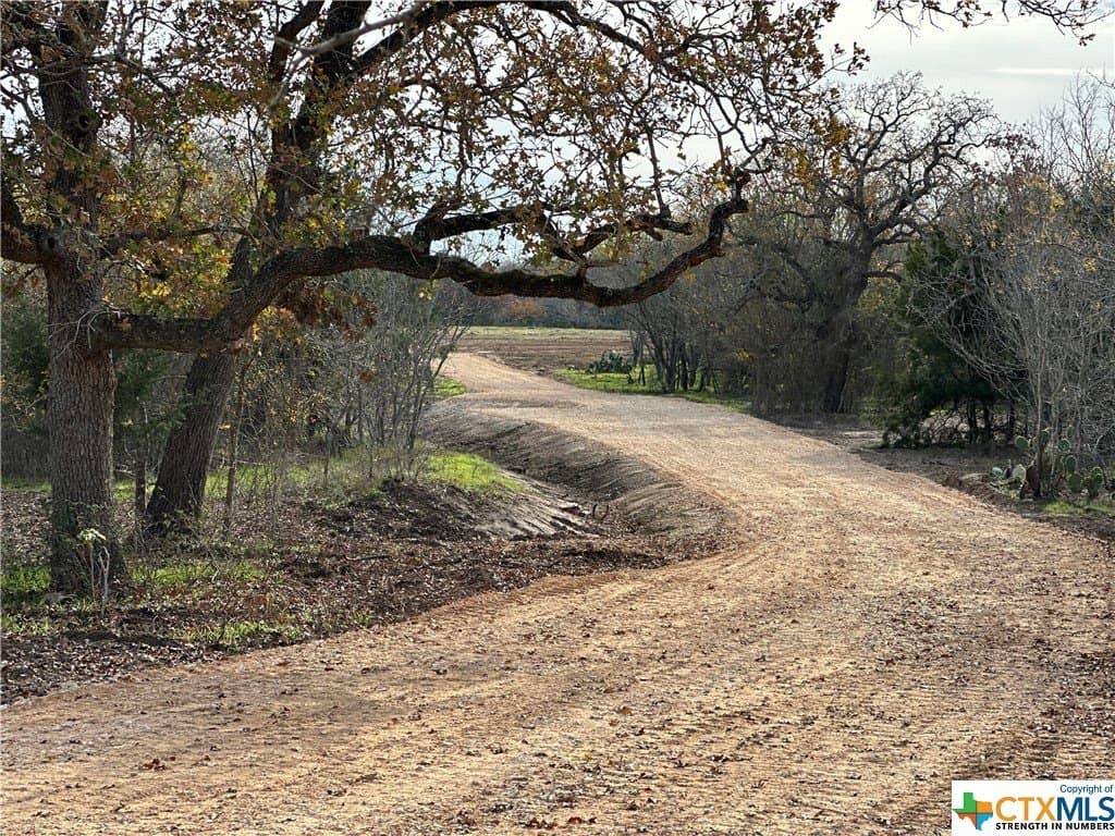 23.94 acres in Caldwell County gallery image 4