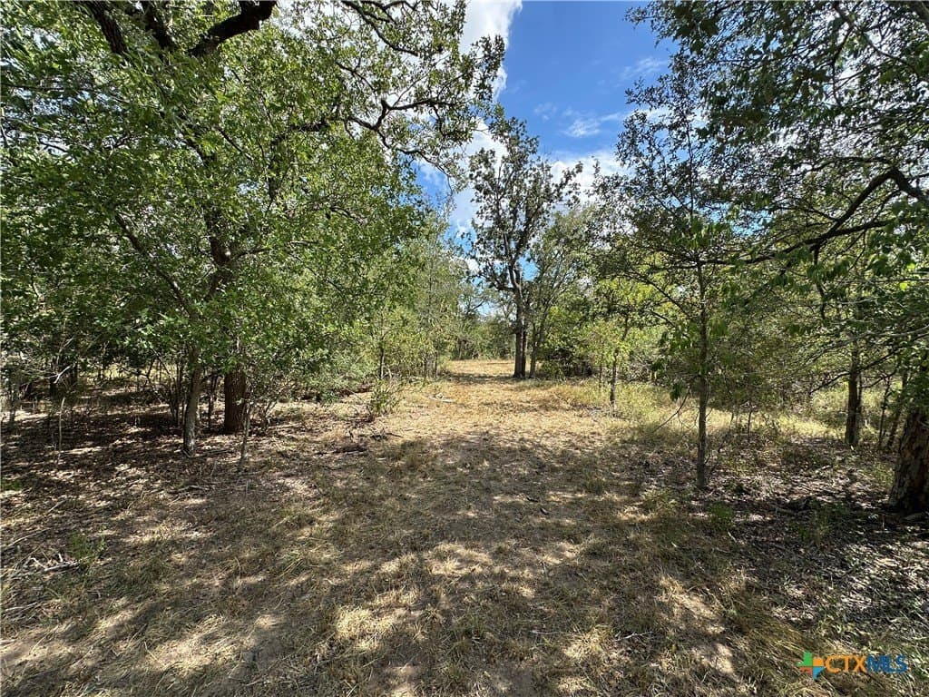 23.94 acres in Caldwell County featured view