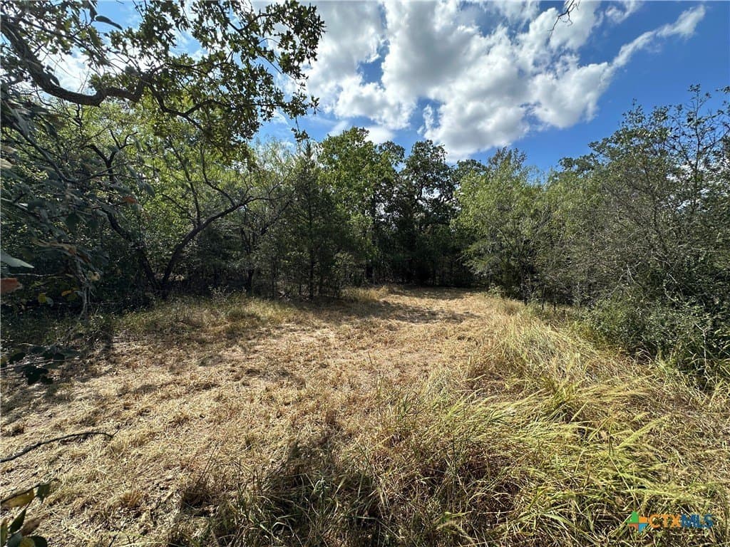 23.94 acres in Caldwell County gallery image 2