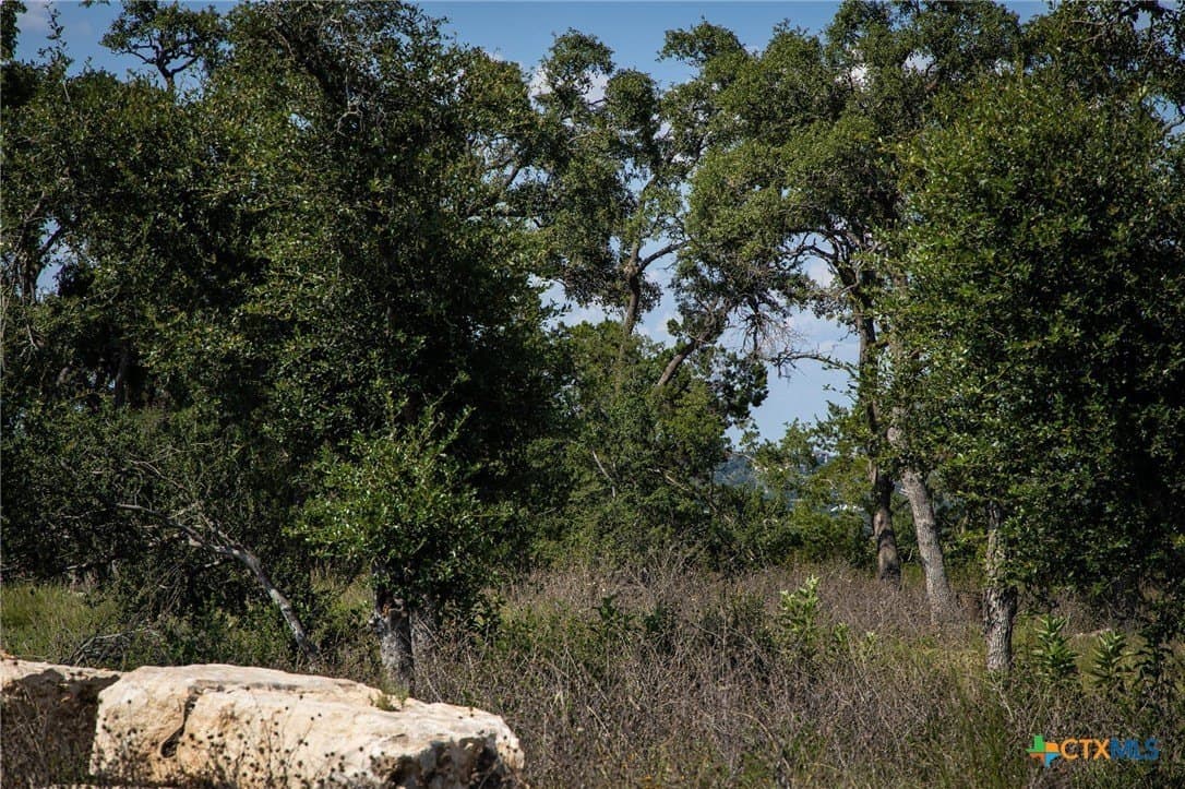 1.04 acres in Comal County featured view