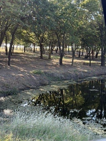 38.99 acres in Cooke County - photo 37