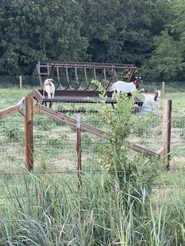 38.99 acres in Cooke County - photo 35