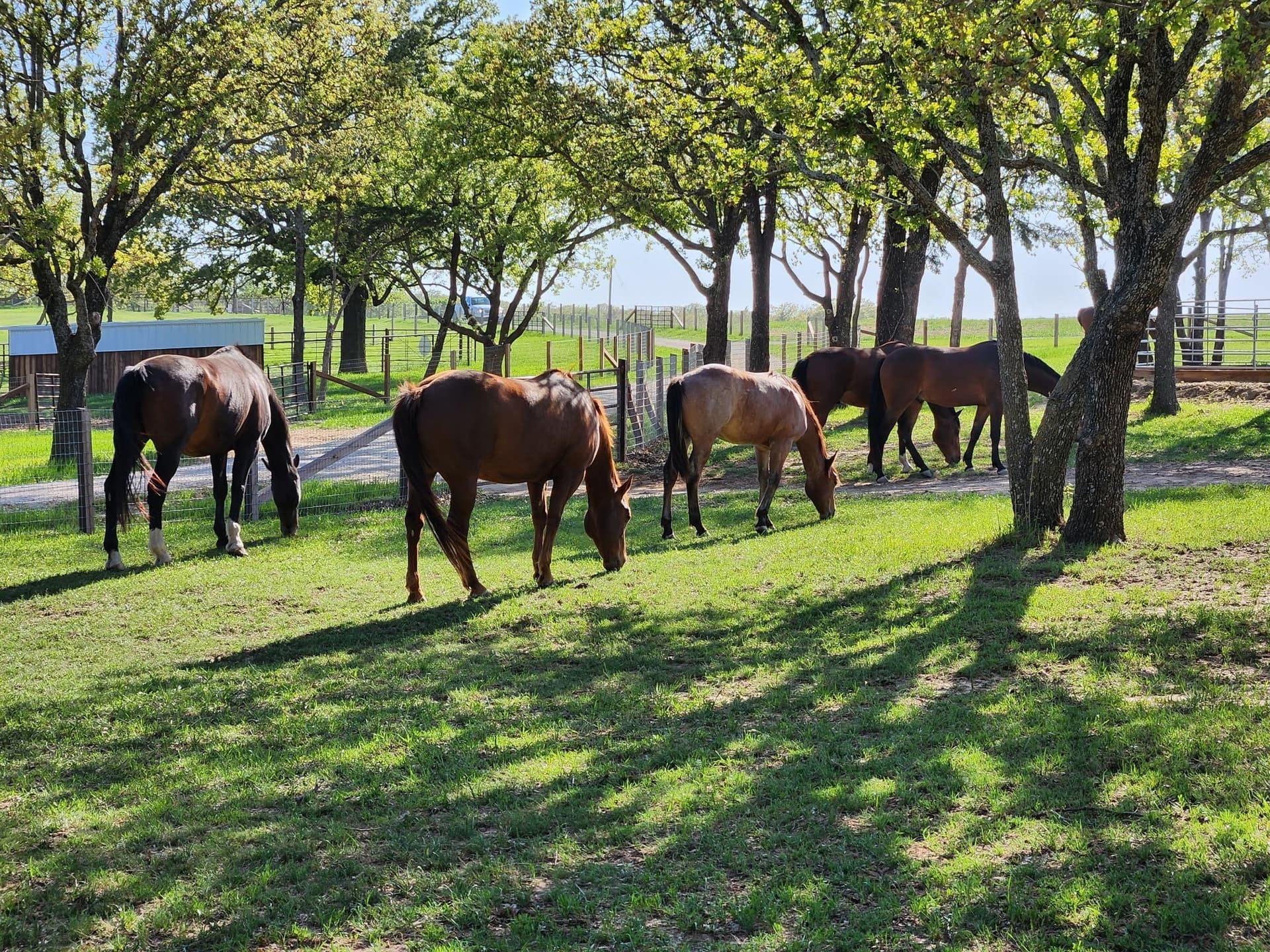 38.99 acres in Cooke County - photo 32