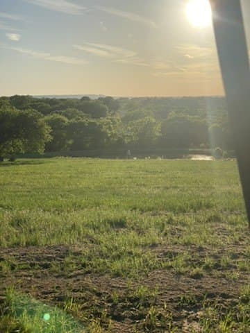 38.99 acres in Cooke County - photo 26