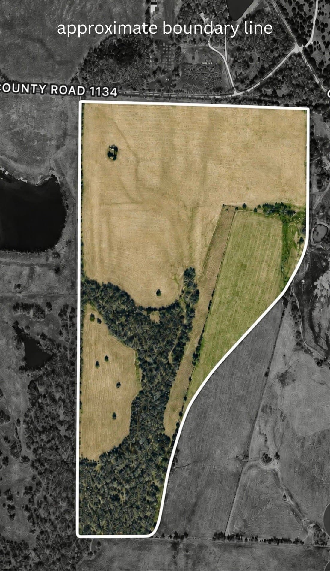 60 acres in Hunt County - photo 2
