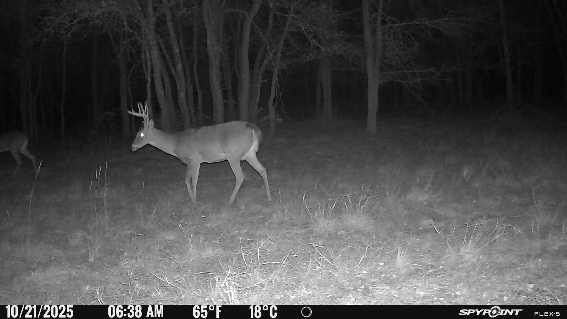 60 acres in Hunt County - photo 6