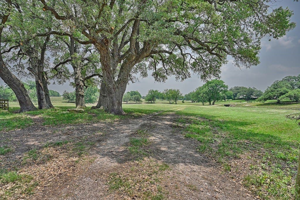 31.5 acres in Washington County - photo 24