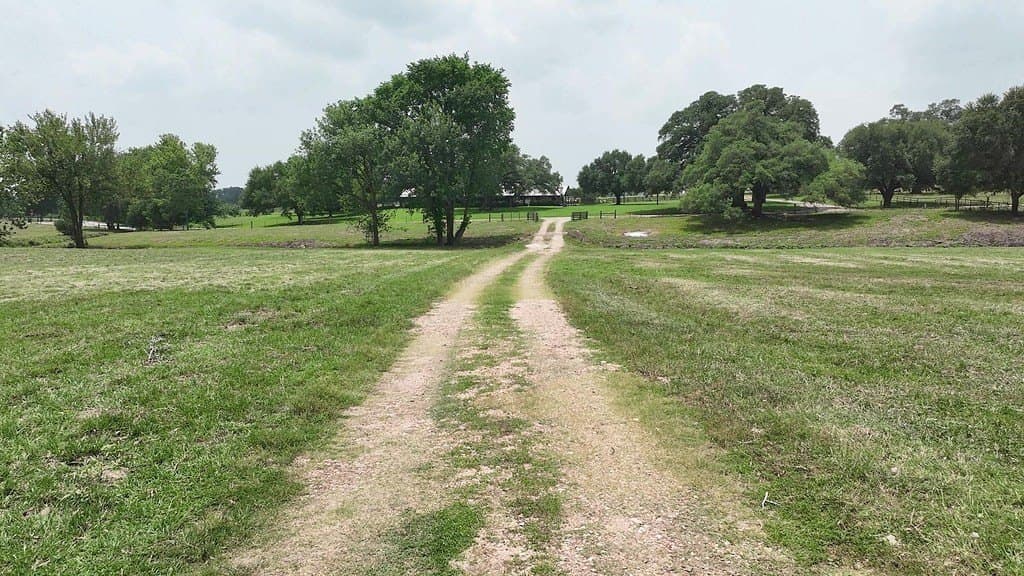31.5 acres in Washington County - photo 16
