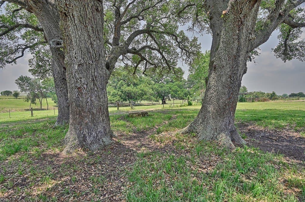 31.5 acres in Washington County - photo 25