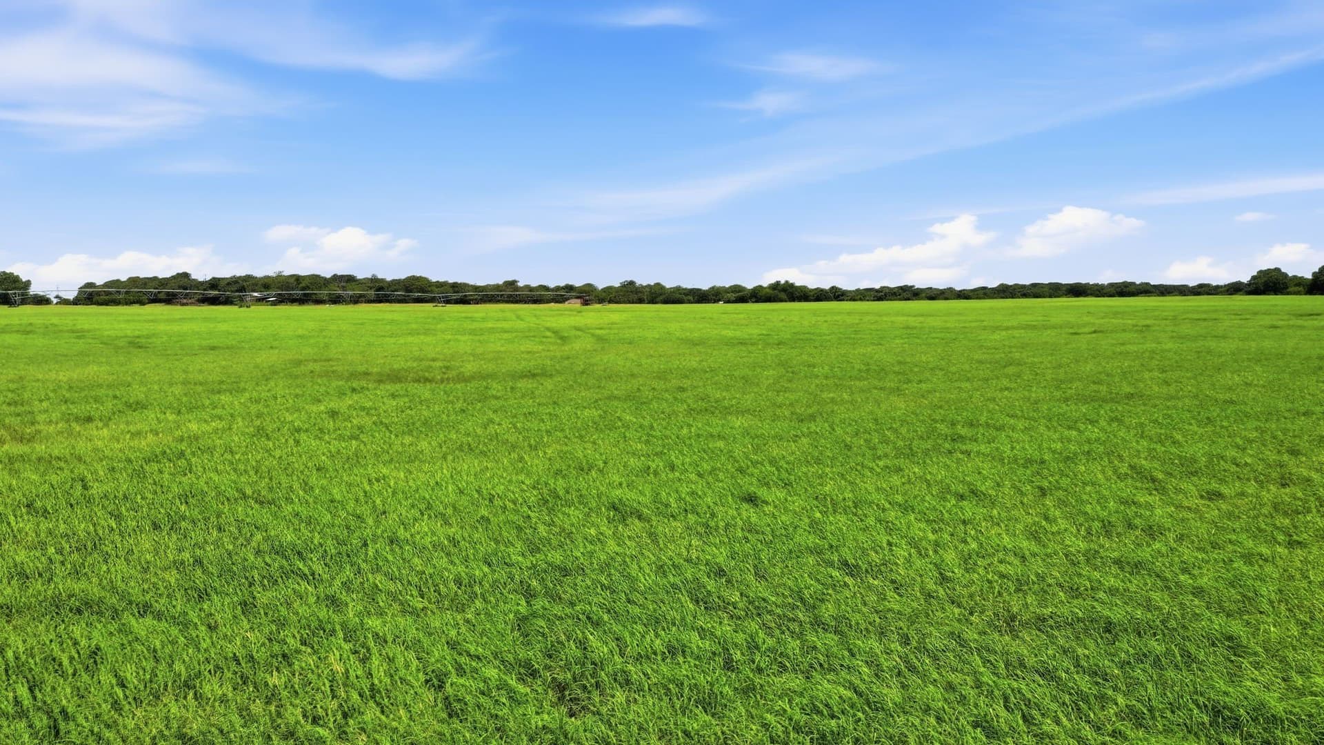 53 acres in Erath County - photo 36
