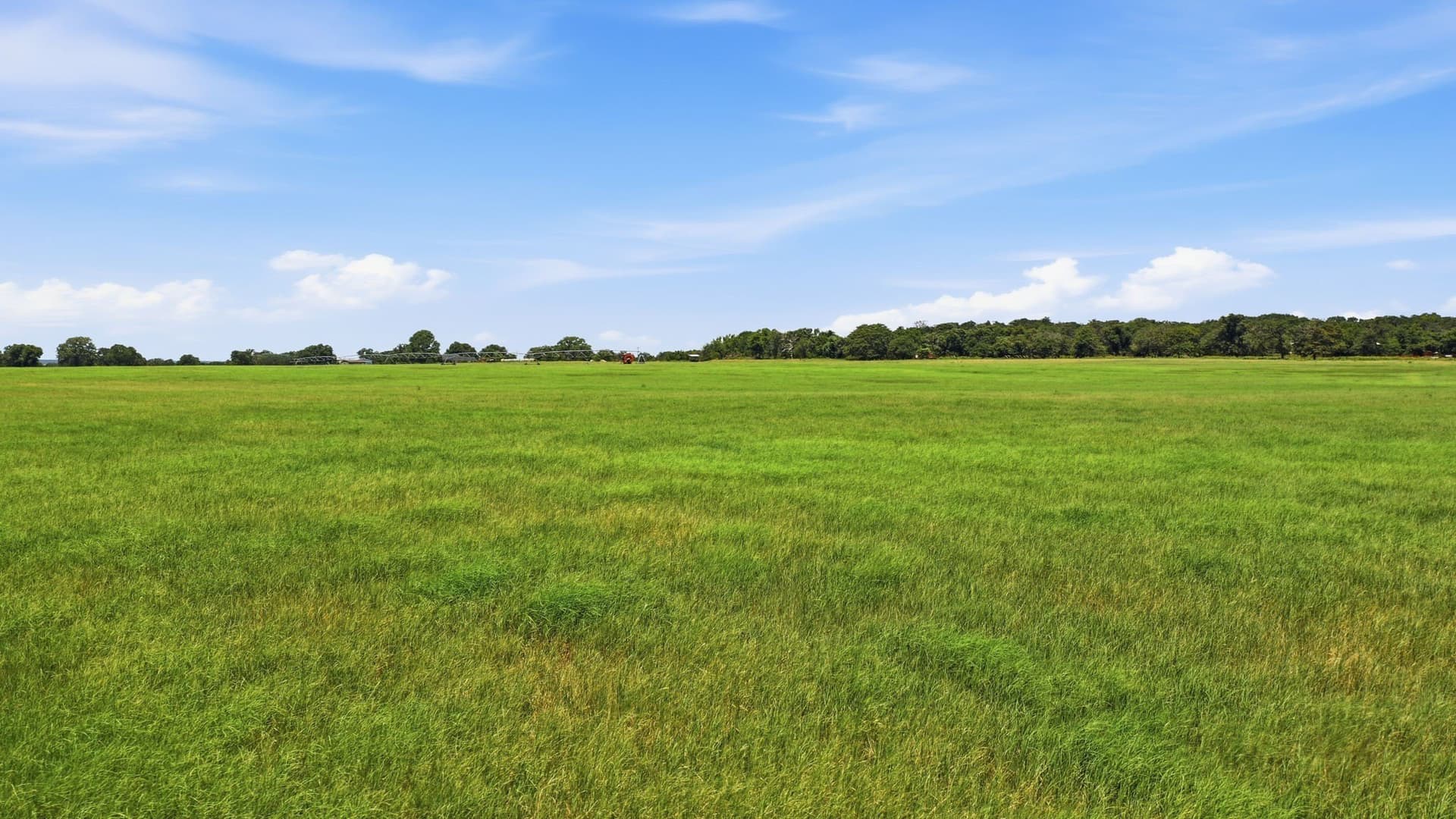 53 acres in Erath County - photo 30