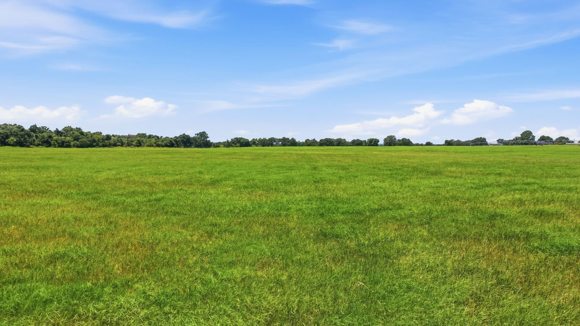 53 acres in Erath County - photo 29