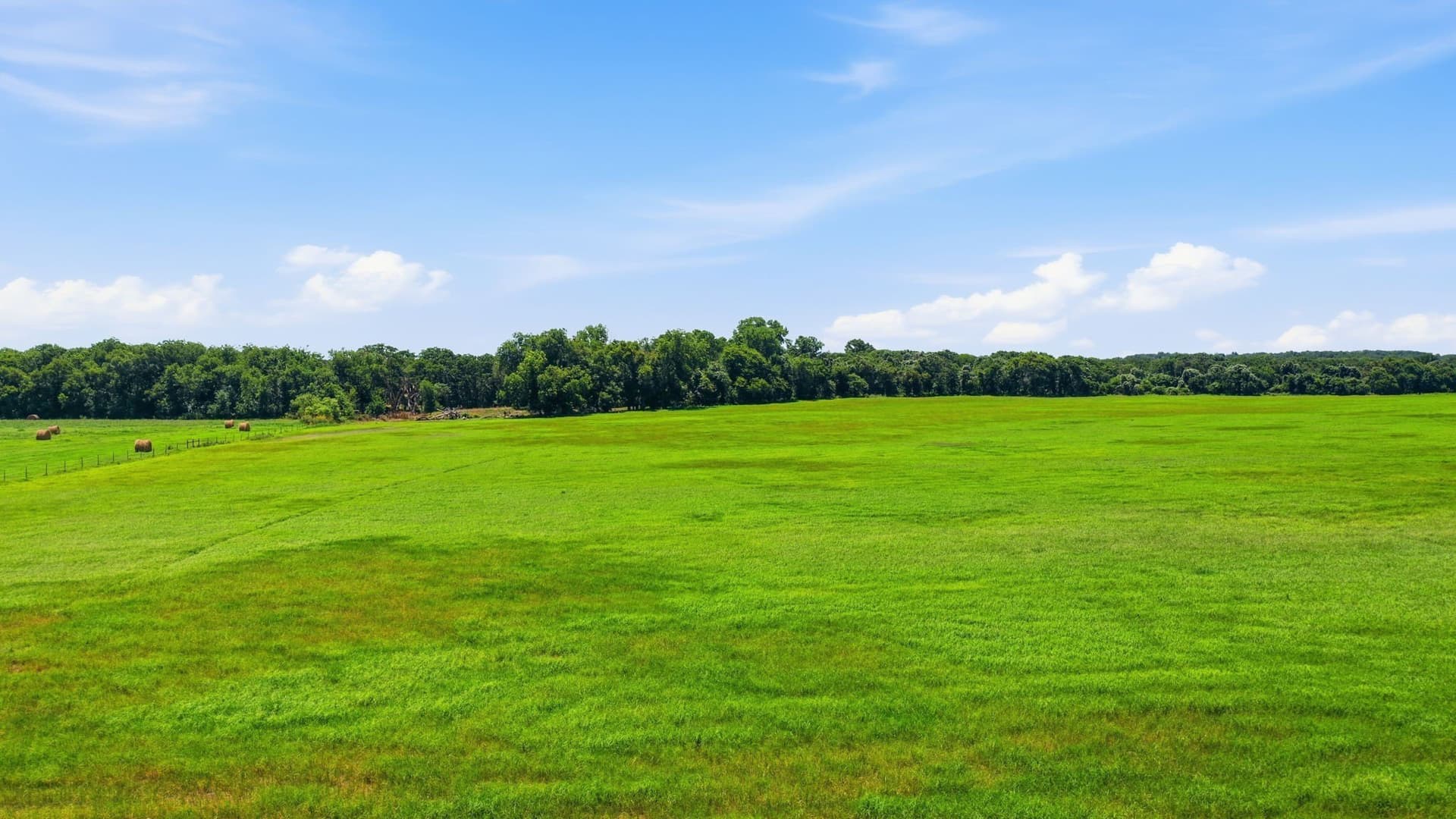53 acres in Erath County - photo 32