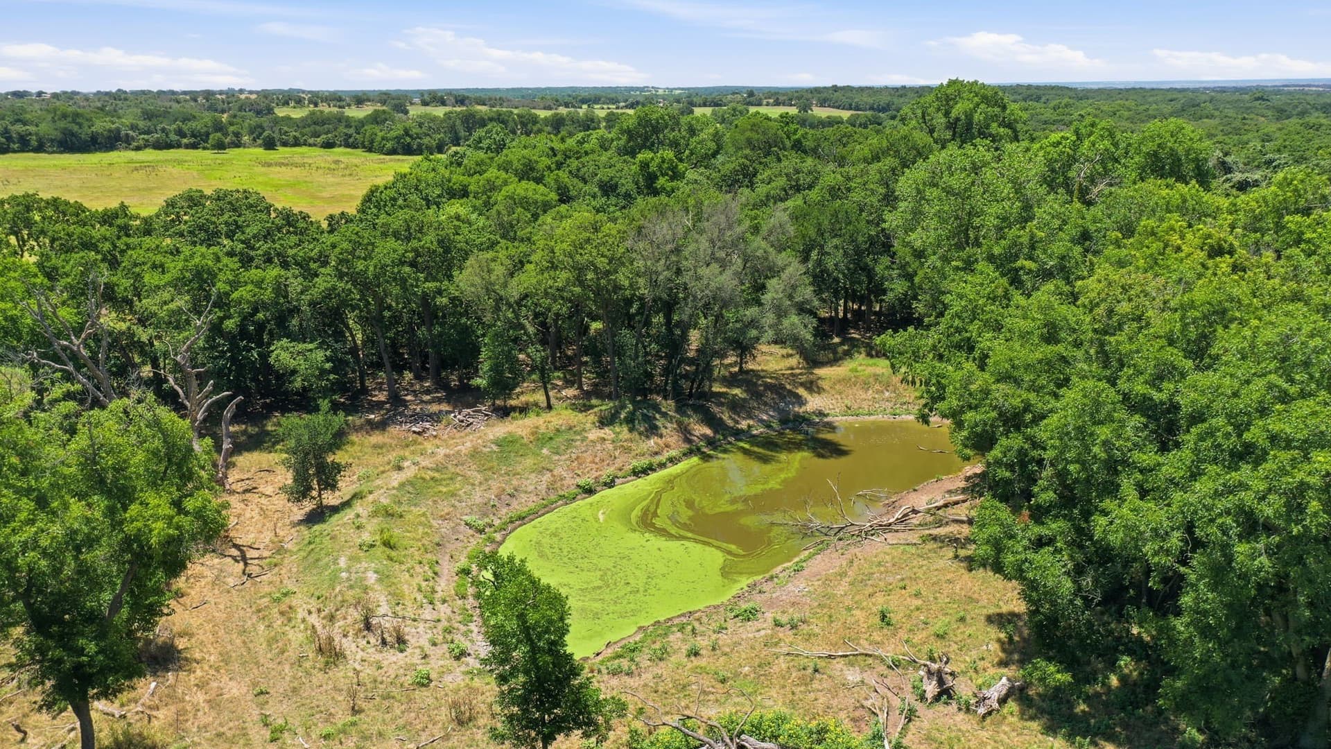 53 acres in Erath County - photo 28