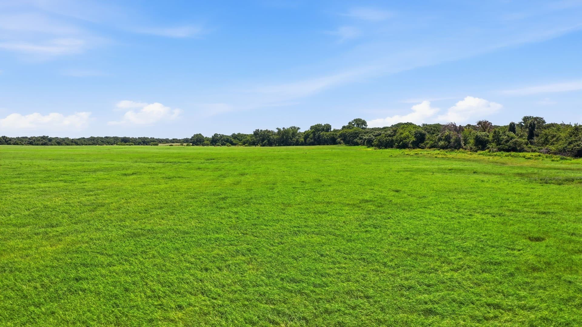 53 acres in Erath County - photo 35
