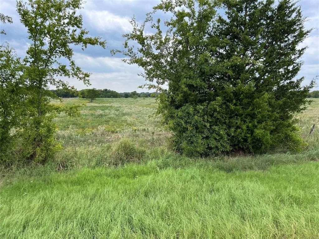 53.45 acres in Hunt County
